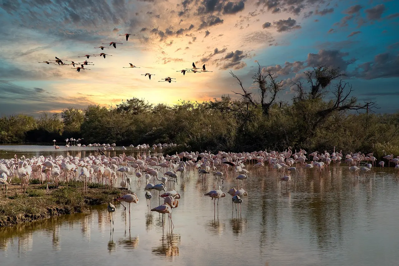 ProHub